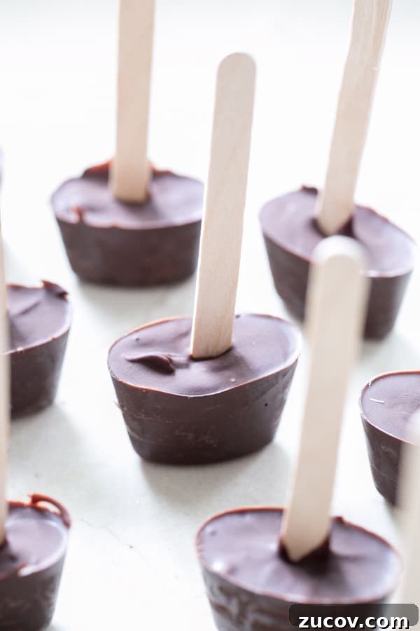 Delicious Hot Chocolate Sticks: Melt-In-Mug Cocoa Treats 5 Hot chocolate on a stick with wooden sticks.
