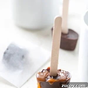 Delicious Hot Chocolate Sticks: Melt-In-Mug Cocoa Treats 7 img 5861 6