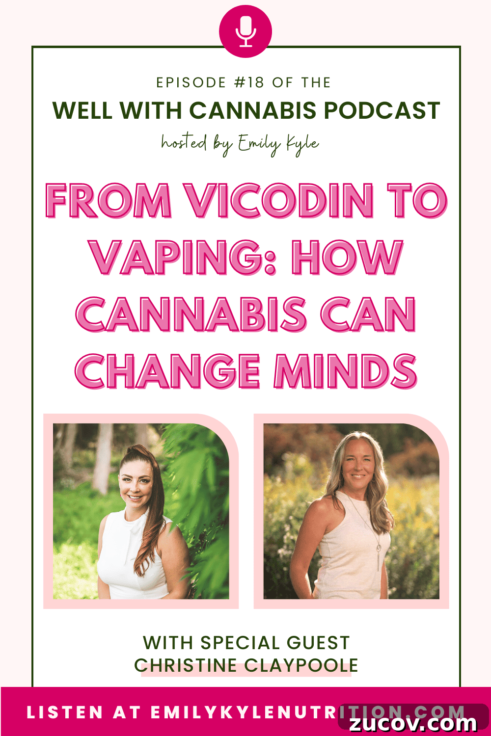 From Vicodin to Vaping: How Cannabis Is Changing Pain Treatment Choices 2 A picture of Christine Claypoole, a guest on the Well With Cannabis Podcast.