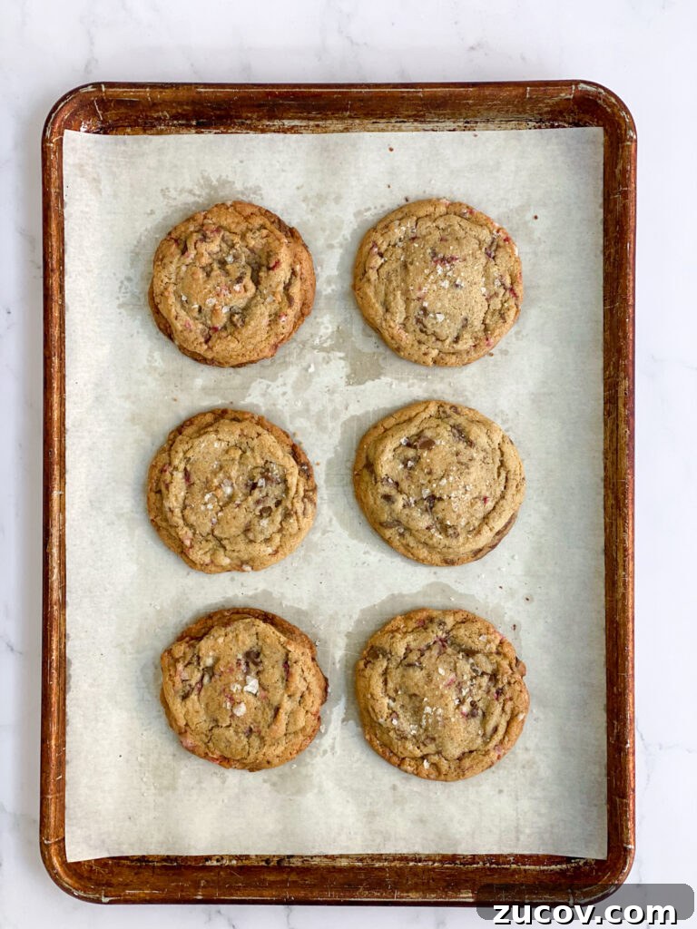 Peppermint Chocolate Chip Cookie Recipe with Crispy Edges 10 cookies after baking.