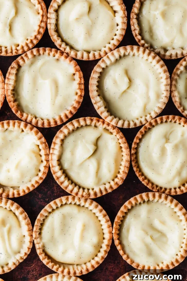 Fresh Fruit Tartlets with Silky Pastry Cream Recipe 14 Rows of fruit tartlet crusts with pastry cream.