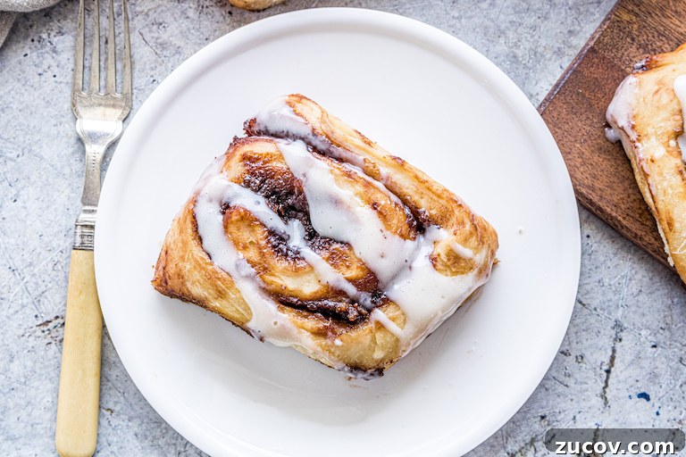 Nutella Pumpkin Cinnamon Rolls with Gooey Chocolate Swirl 6 one nutella pumpkin cinnamon roll served on a white plate