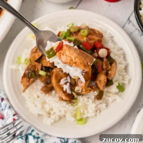 February Blackstone Chicken Recipes: What to Grill This Month 8 Savory chicken and rice bowl with vegetables and green onions, served on a white plate.