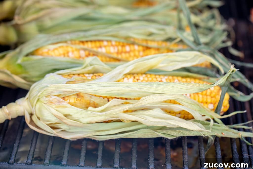 Sweet Rub Recipes to Elevate Your Dinner Menu 4 Seasoned corn in the husks on the grill grates of a smoker.