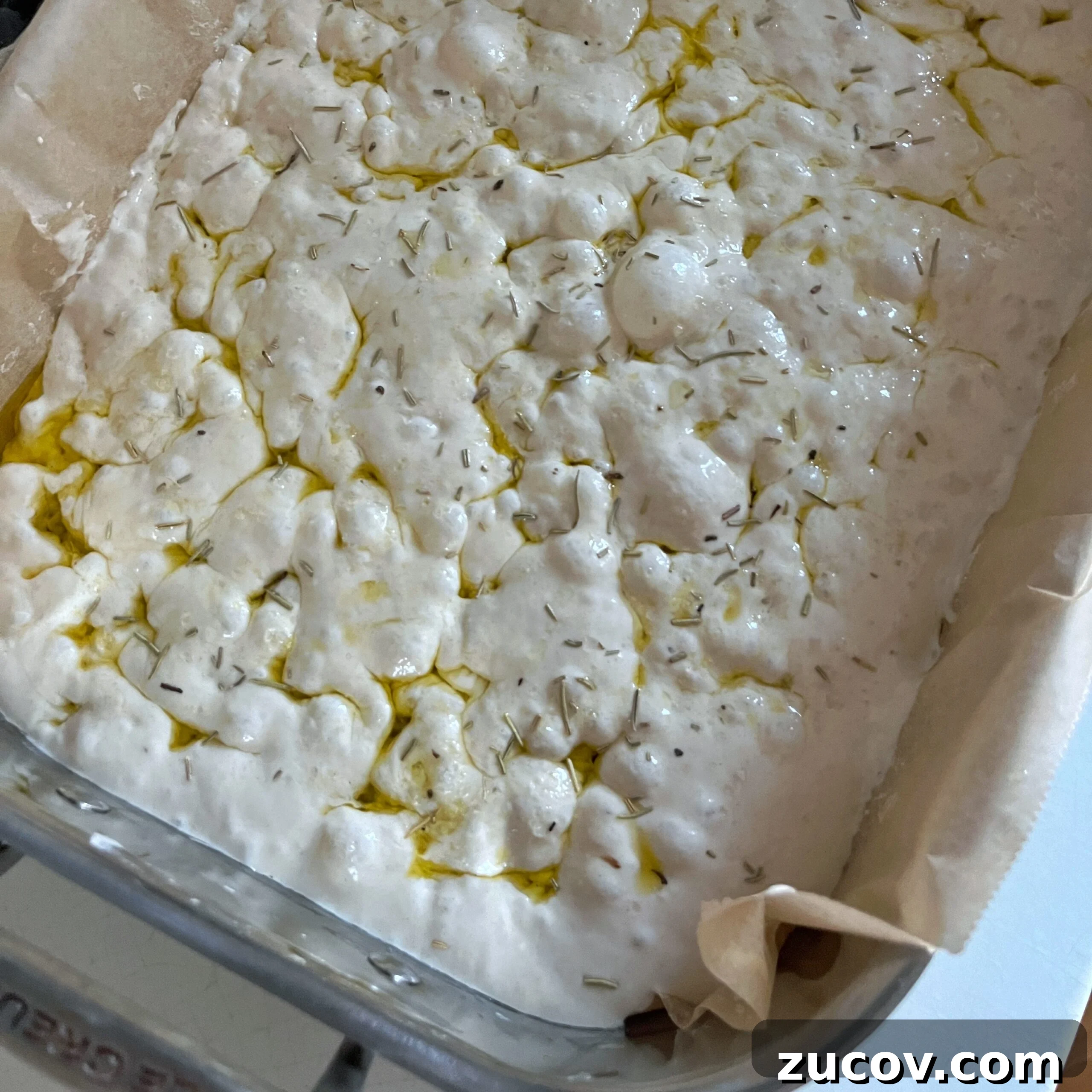 No-Knead Focaccia Recipe: Crispy, Olive Oil-Rich Bread in One Pan 16 Unbaked focaccia dough in a stainless steel baking dish lined with parchment paper, drizzled with olive oil and sprinkled with sea salt.