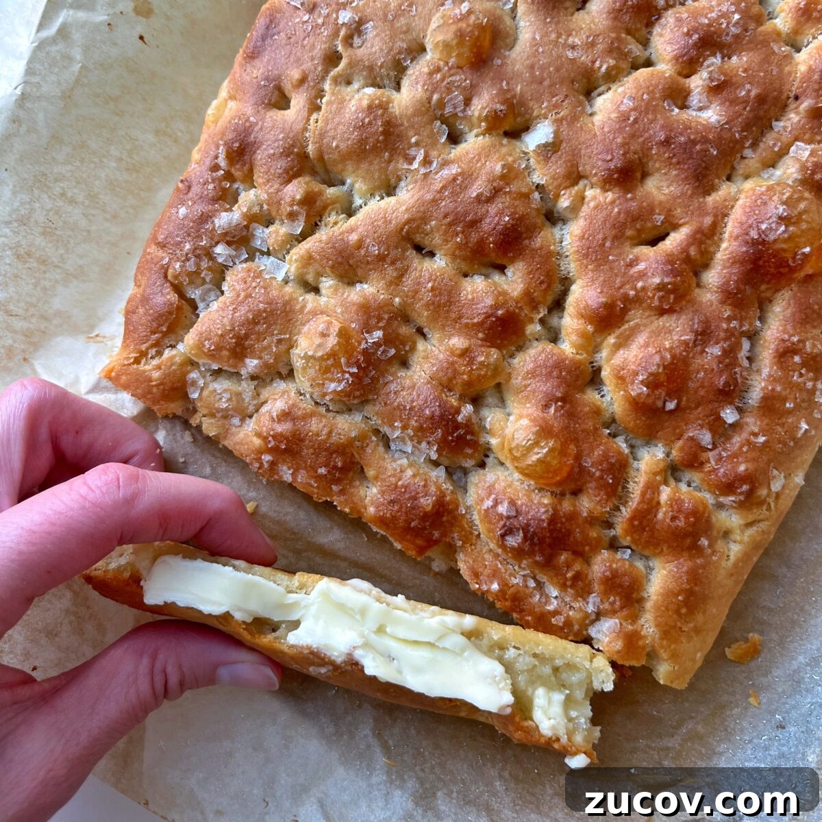 No-Knead Focaccia Recipe: Crispy, Olive Oil-Rich Bread in One Pan 4 A hand holds a slice of focaccia bread with butter shown before a larger sea salt-topped loaf resting on parchment paper.
