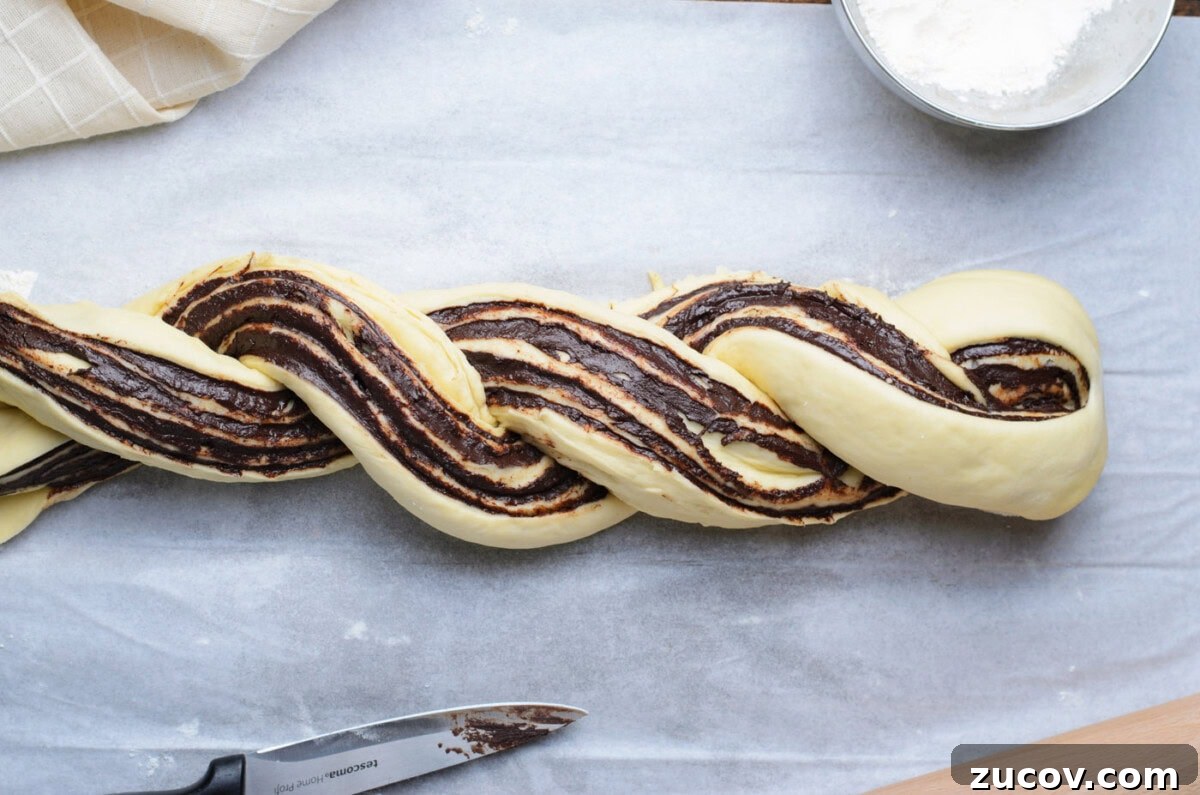 Decadent Chocolate Babka Recipe: Step-by-Step Guide 14 braided chocolate babka dough