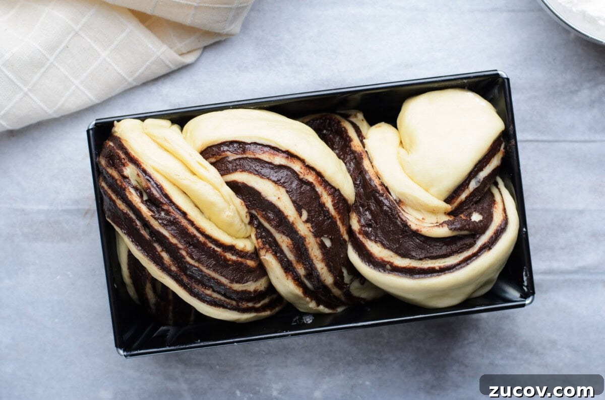 Decadent Chocolate Babka Recipe: Step-by-Step Guide 15 chocolate babka dough in pan