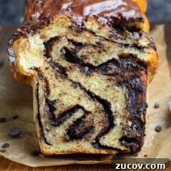 Decadent Chocolate Babka Recipe: Step-by-Step Guide 17 Chocolate Babka