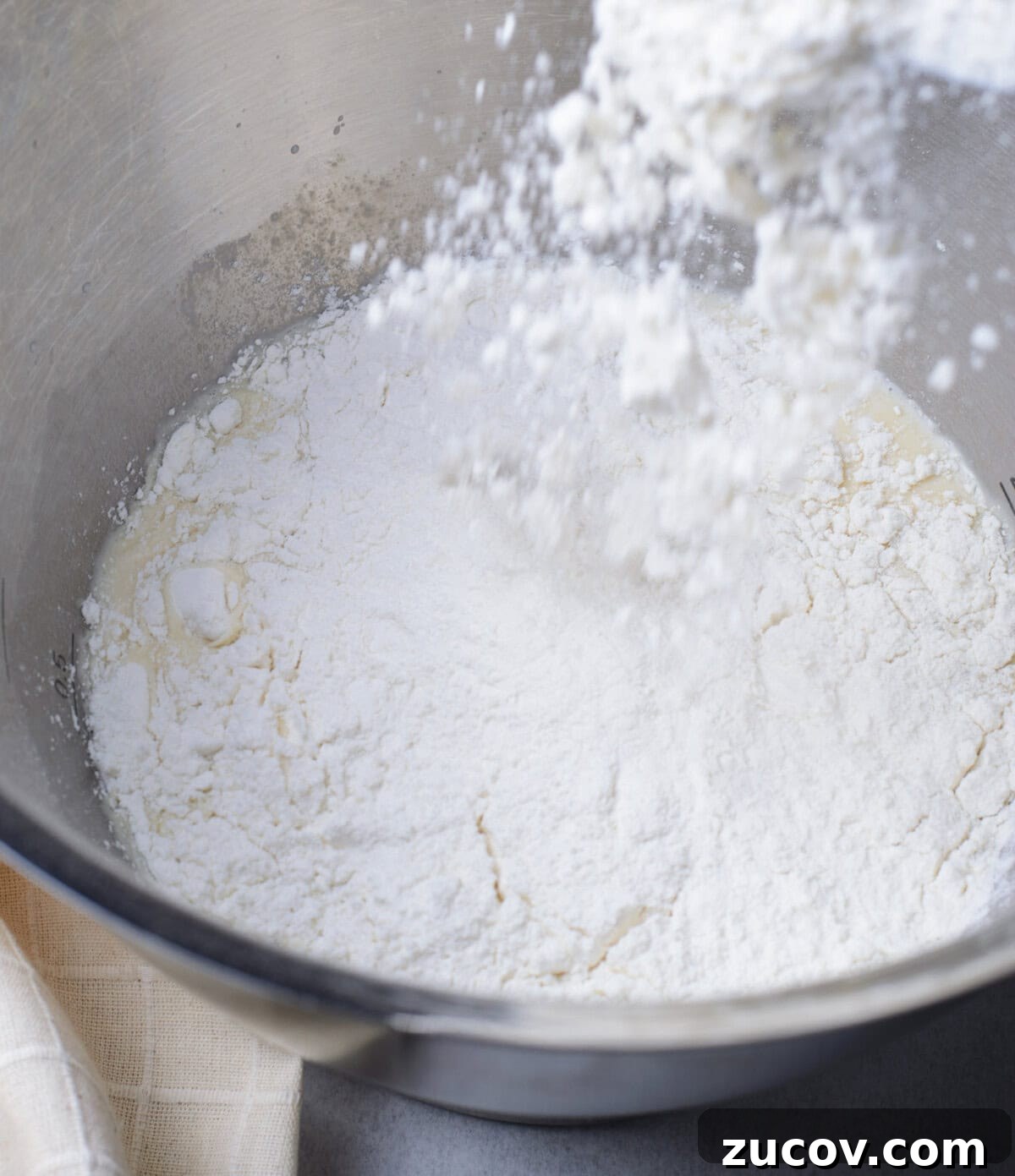 Decadent Chocolate Babka Recipe: Step-by-Step Guide 6 flour in a mixing bowl