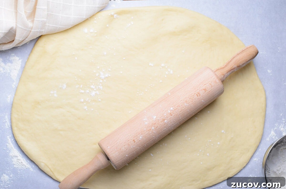 Decadent Chocolate Babka Recipe: Step-by-Step Guide 10 rolling babka dough out with a rolling pin