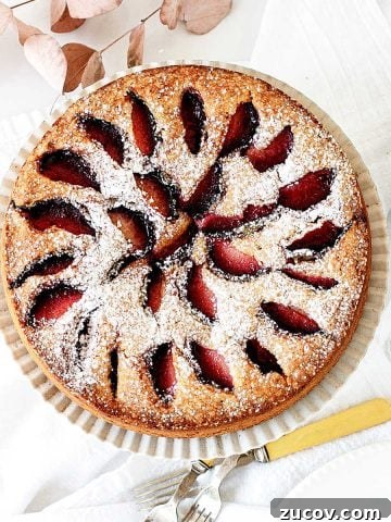 View from above of whole plum cake on a white kitchen towel. Yellow forks beside it.