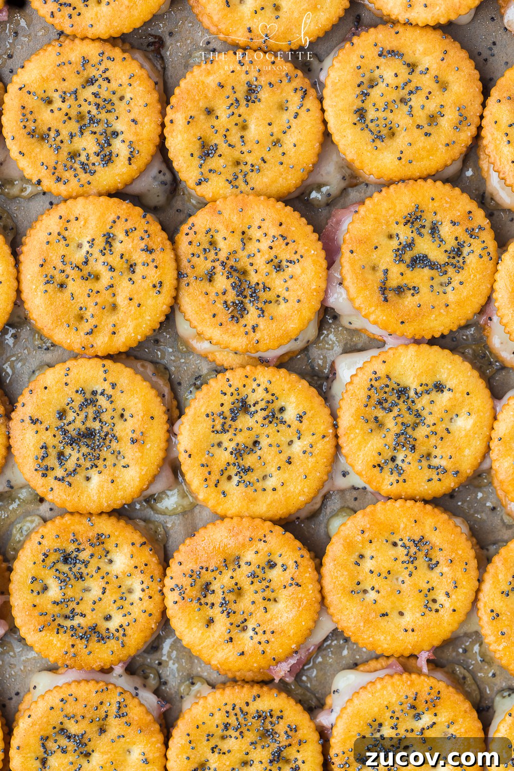 Ritz Cracker Sandwich Recipes: Savory & Sweet Party Bites 12 Ritz Cracker Sandwiches