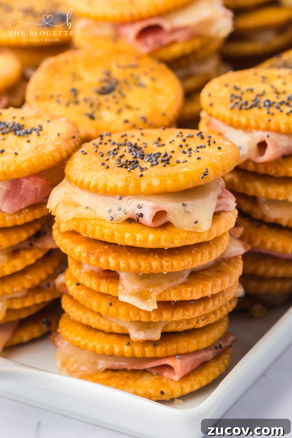 Ritz Cracker Sandwich Recipes: Savory & Sweet Party Bites 13 Ritz Cracker Sandwiches are a quick and delicious snack made by layering sweet or savory fillings between buttery Ritz crackers.