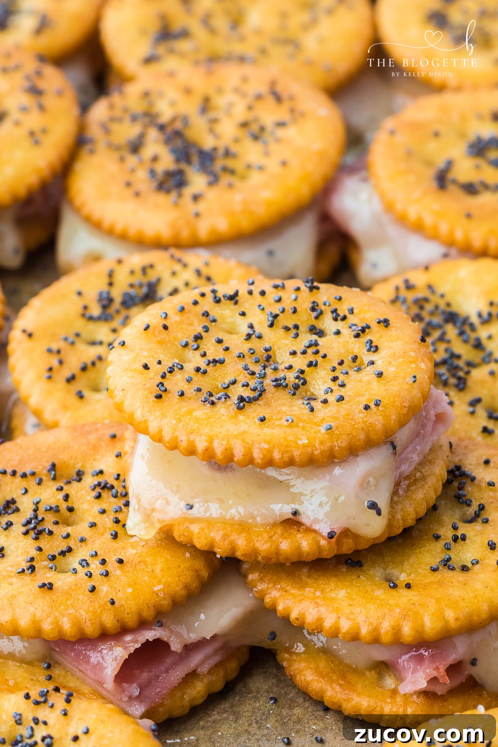 Ritz Cracker Sandwich Recipes: Savory & Sweet Party Bites 3 Ritz Cracker Sandwiches are a quick and delicious snack made by layering sweet or savory fillings between buttery Ritz crackers.