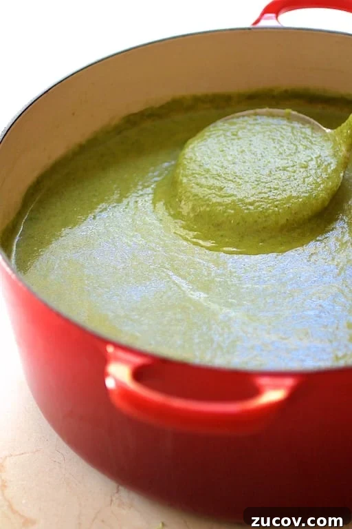 Photo of Cream of Green Vegetable Soup in red Dutch oven with ladle lifting some out.