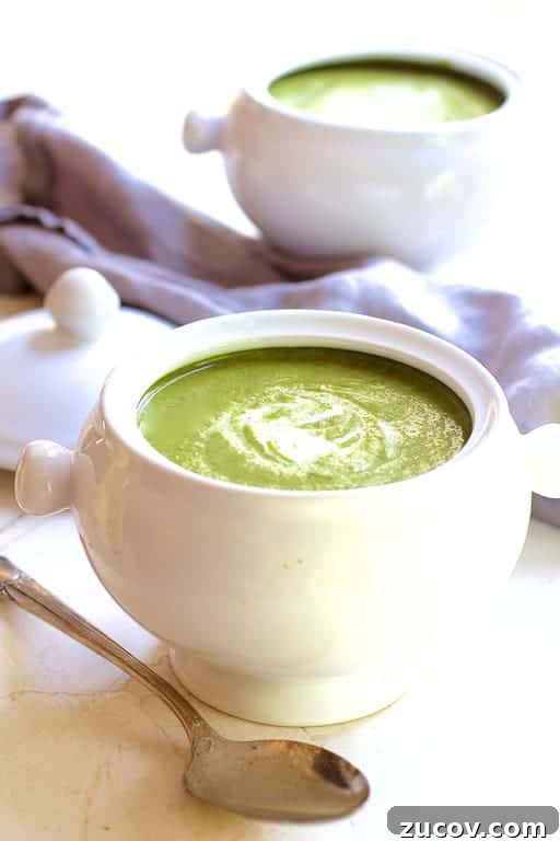 Photo of Cream of Green Vegetable Soup in white bowl with spoon.