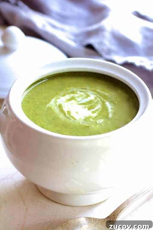 Close-up photo of Cream of Green Vegetable Soup.