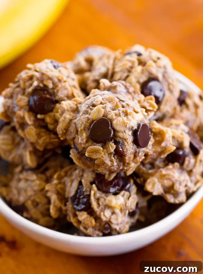 Healthy Snack Banana Cookie Recipe Healthy Snack Banana Cookie Recipe