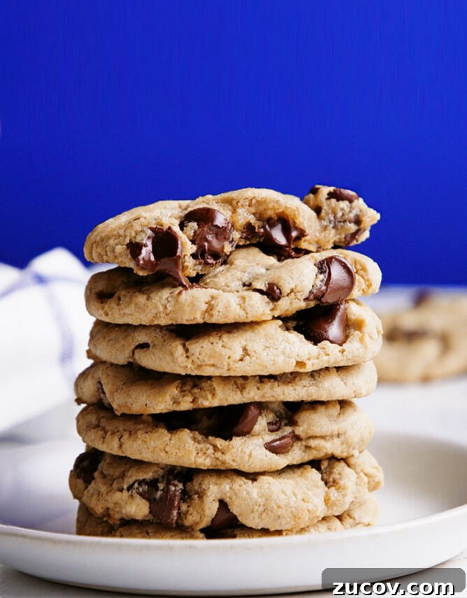 Chewy Banana Oatmeal Cookies with Whole Grain Oats 2 Healthy Chocolate Chip Cookies