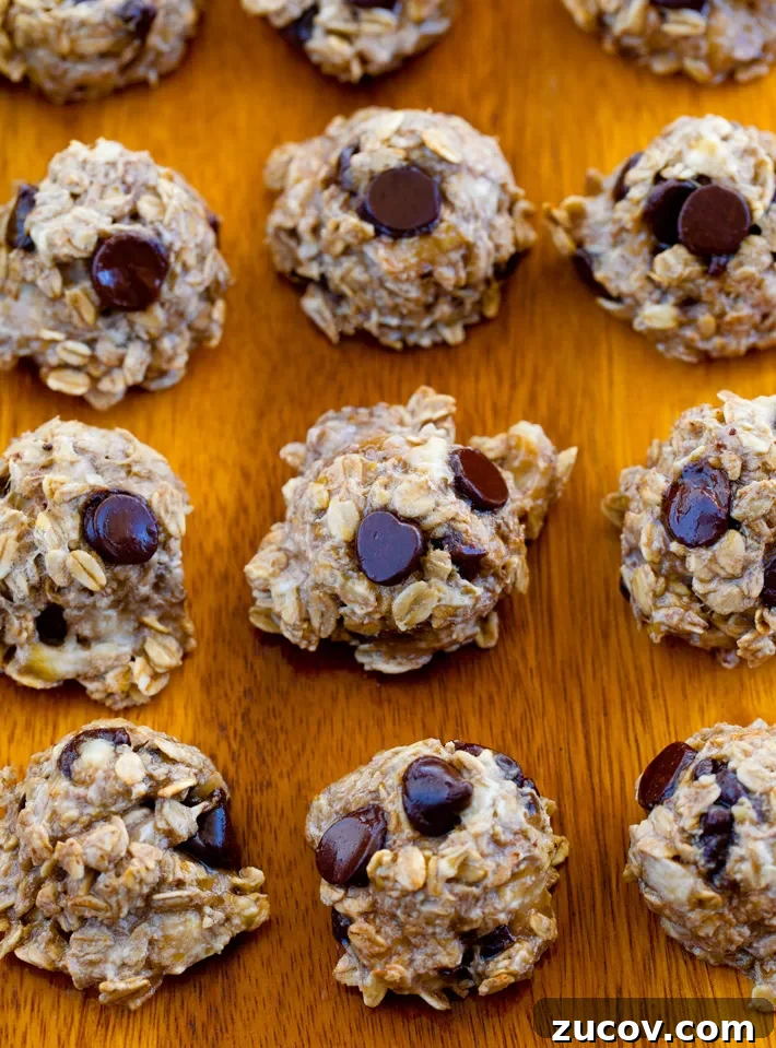 Chocolate Chip Banana Cookie Recipe Chocolate Chip Banana Cookie Recipe