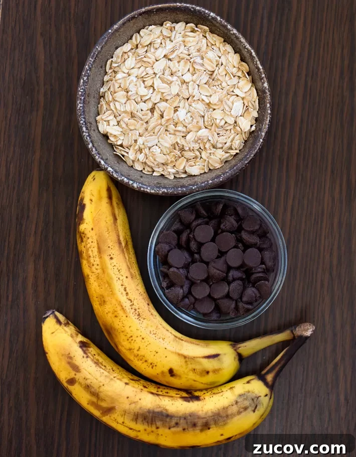 3 Ingredient Banana Oat Cookie Ingredients 3 Ingredient Banana Oat Cookie Ingredients