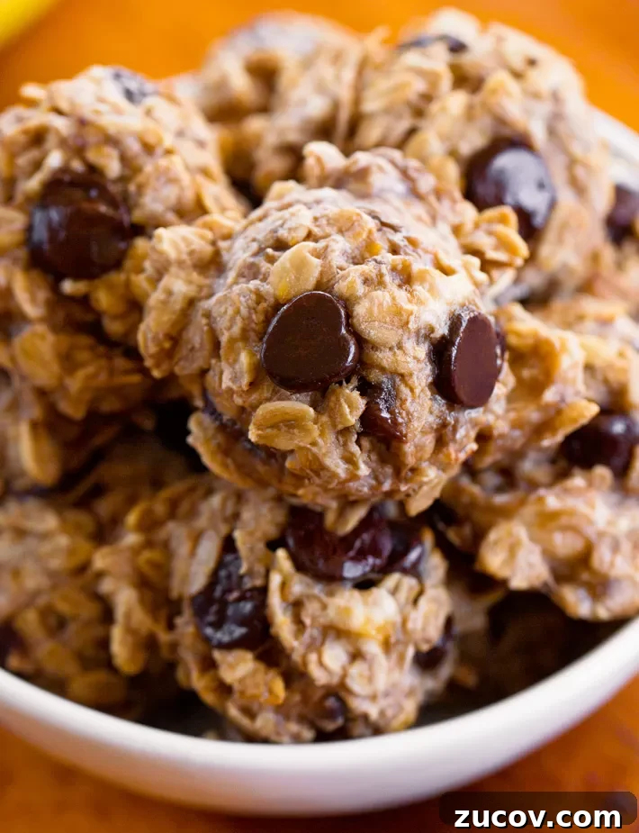 Vegan Banana Cookie Recipe Vegan Banana Cookie Recipe