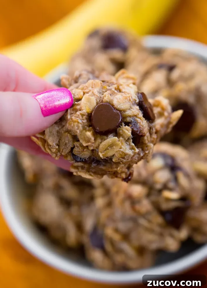 No Bake Oatmeal Cookies No Bake Oatmeal Cookies