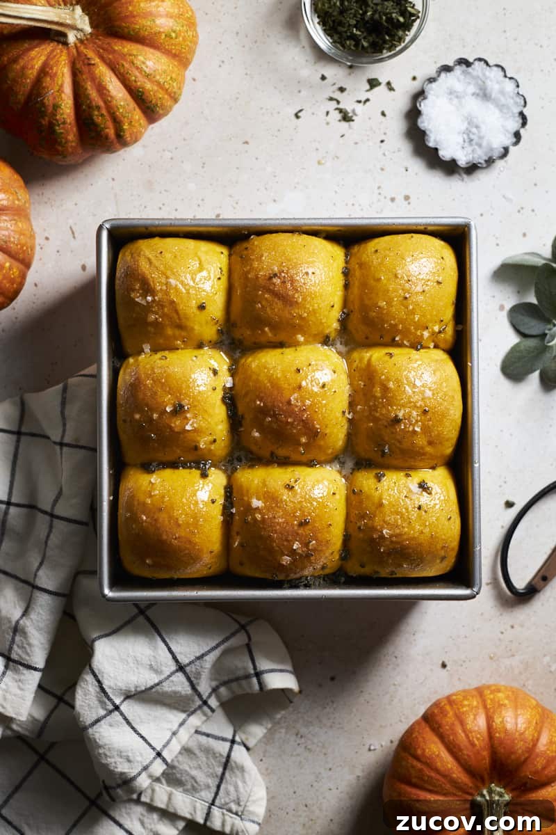 Sourdough-Discard Pumpkin Dinner Rolls for Fall Baking 2 Overhead view of Sourdough Discard Pumpkin Dinner Rolls in a baking pan.