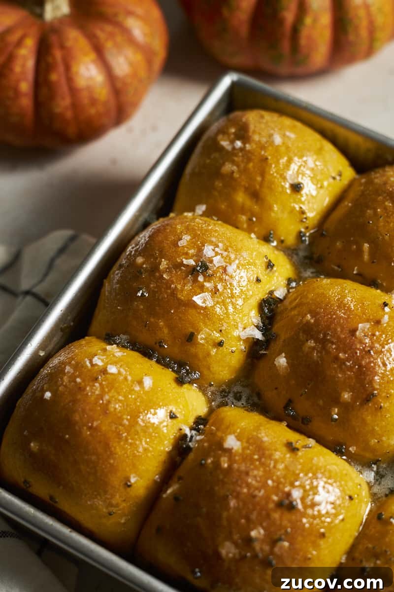 Sourdough-Discard Pumpkin Dinner Rolls for Fall Baking 11 Closeup of Sourdough Discard Pumpkin Dinner Rolls in a baking pan.