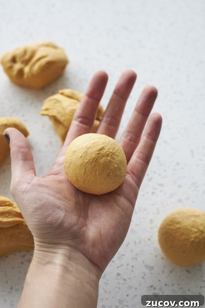 Sourdough-Discard Pumpkin Dinner Rolls for Fall Baking 8 Dinner rolls shaped in the palm of a hand.
