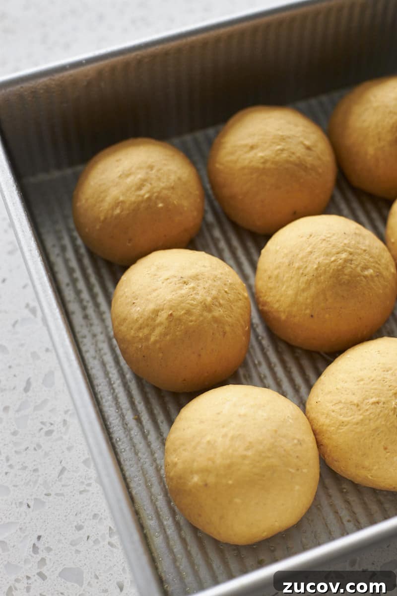 Sourdough-Discard Pumpkin Dinner Rolls for Fall Baking 9 Sourdough Discard Pumpkin Dinner Rolls shaped in a baking pan.