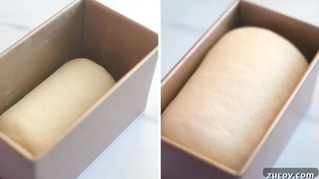 Soft Sourdough Sandwich Bread: Tender, Sliceable Loaf Recipe 7 proof the dough for sourdough sandwich bread