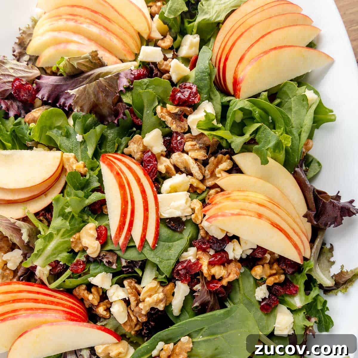 Crisp Apple and Walnut Salad with Maple Dijon Dressing 5 A fresh salad with mixed greens, sliced apples, walnuts, feta cheese, and dried cranberries on a white plate.