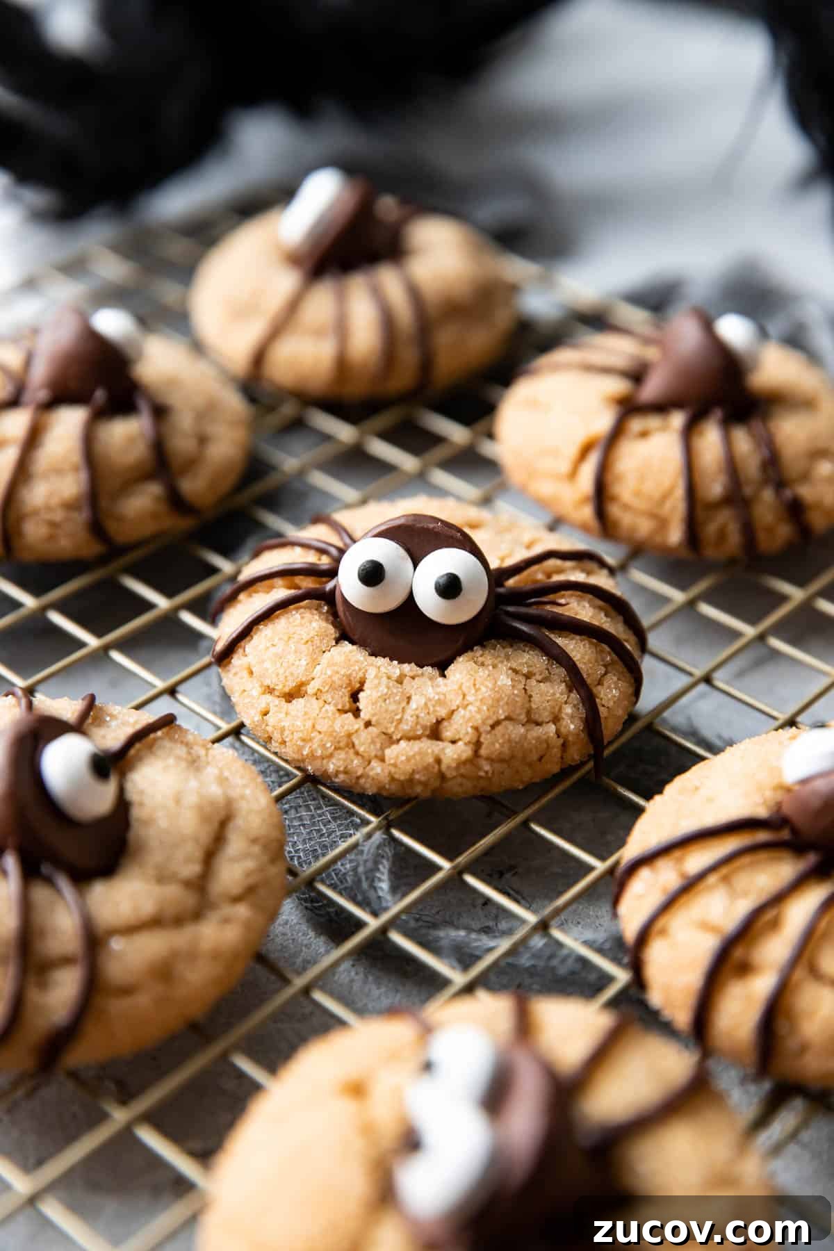 Spider Peanut Butter Cookies Recipe for Halloween Treats 2 halloween spider peanut butter cookies.