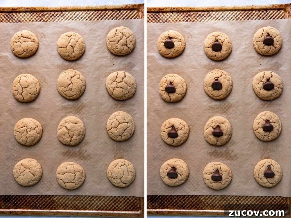 Spider Peanut Butter Cookies Recipe for Halloween Treats 7 peanut butter cookies after baking collage.