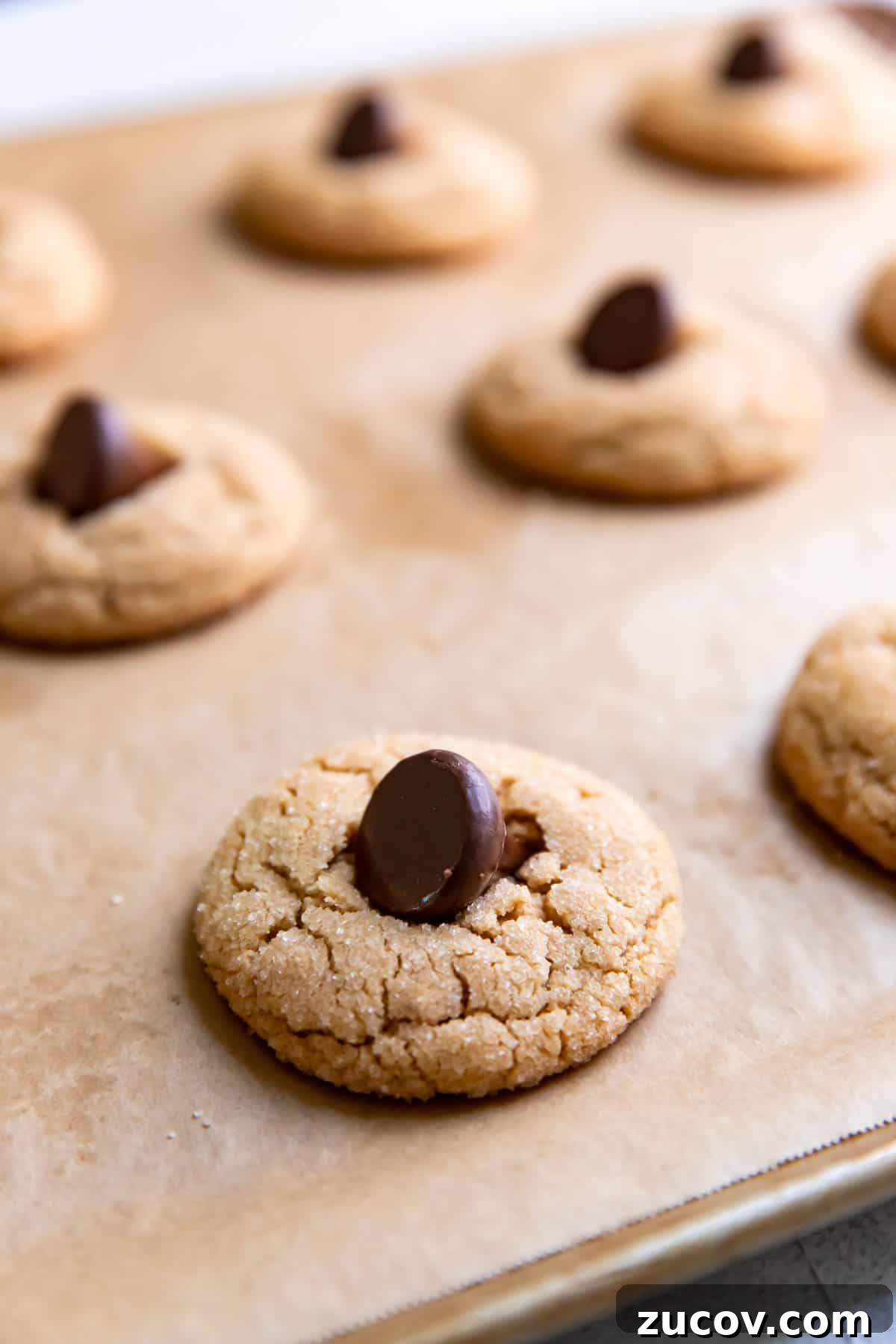 Spider Peanut Butter Cookies Recipe for Halloween Treats 8 peanut butter cookies with a hershey kiss sideways on top.