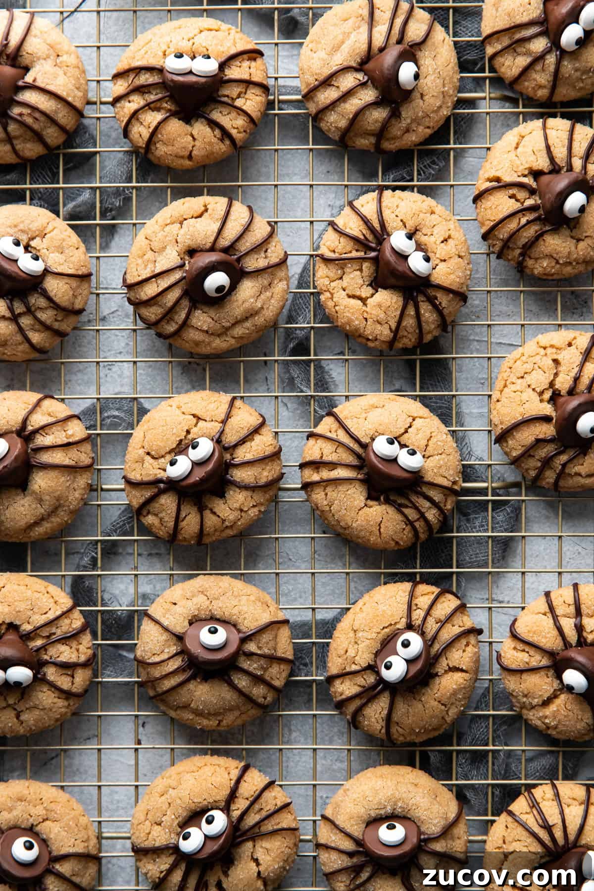 Spider Peanut Butter Cookies Recipe for Halloween Treats 9 halloween spider peanut butter cookies.