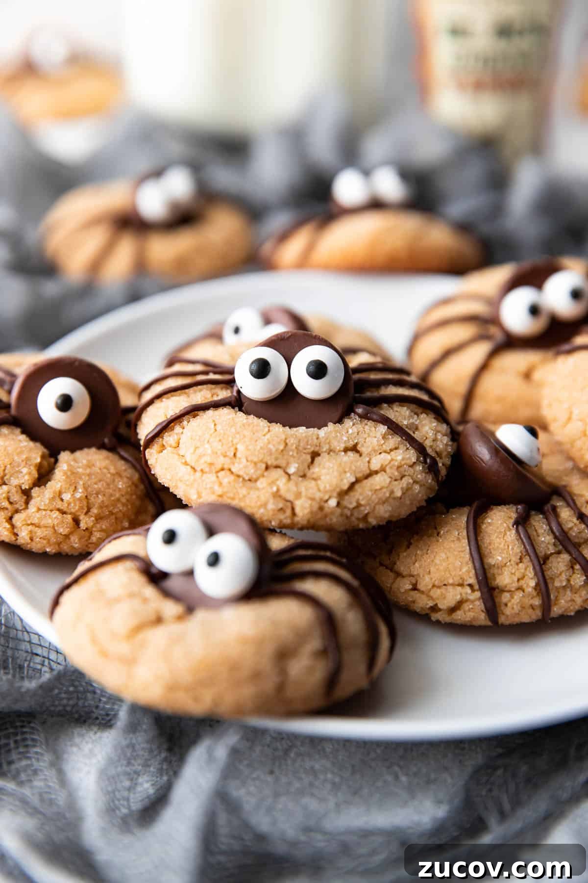 Spider Peanut Butter Cookies Recipe for Halloween Treats 10 halloween spider peanut butter cookies.