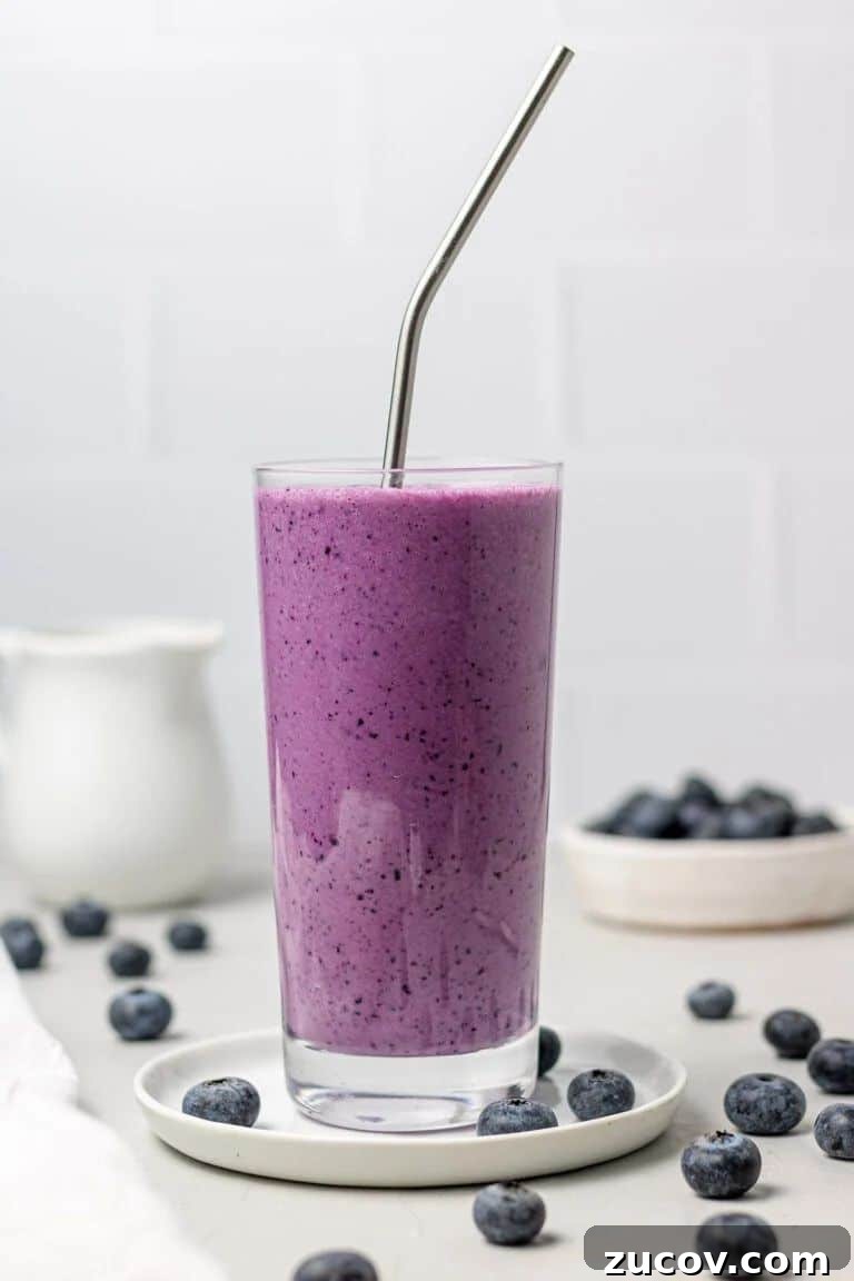 21 Protein Drinks for Muscle Gain and Daily Nutrition 17 blueberry smoothie