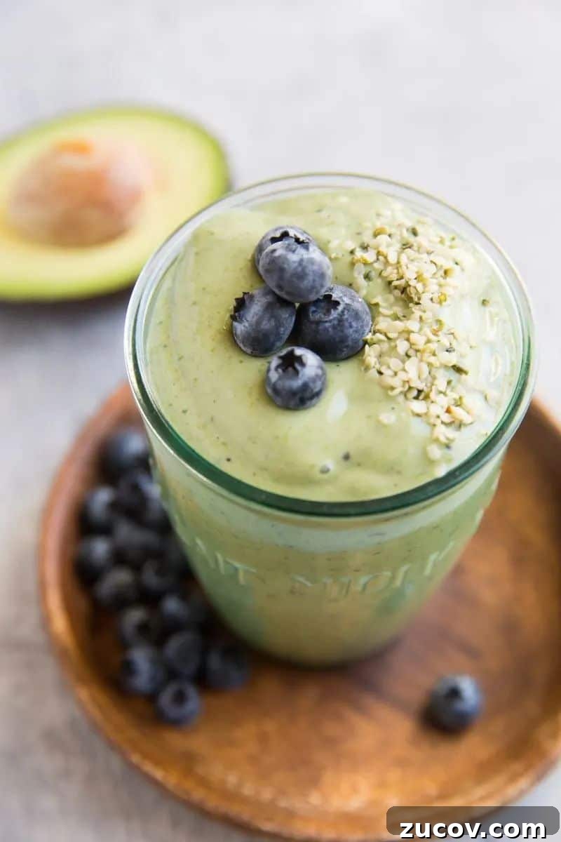 21 Protein Drinks for Muscle Gain and Daily Nutrition 22 blueberry avocado smoothie