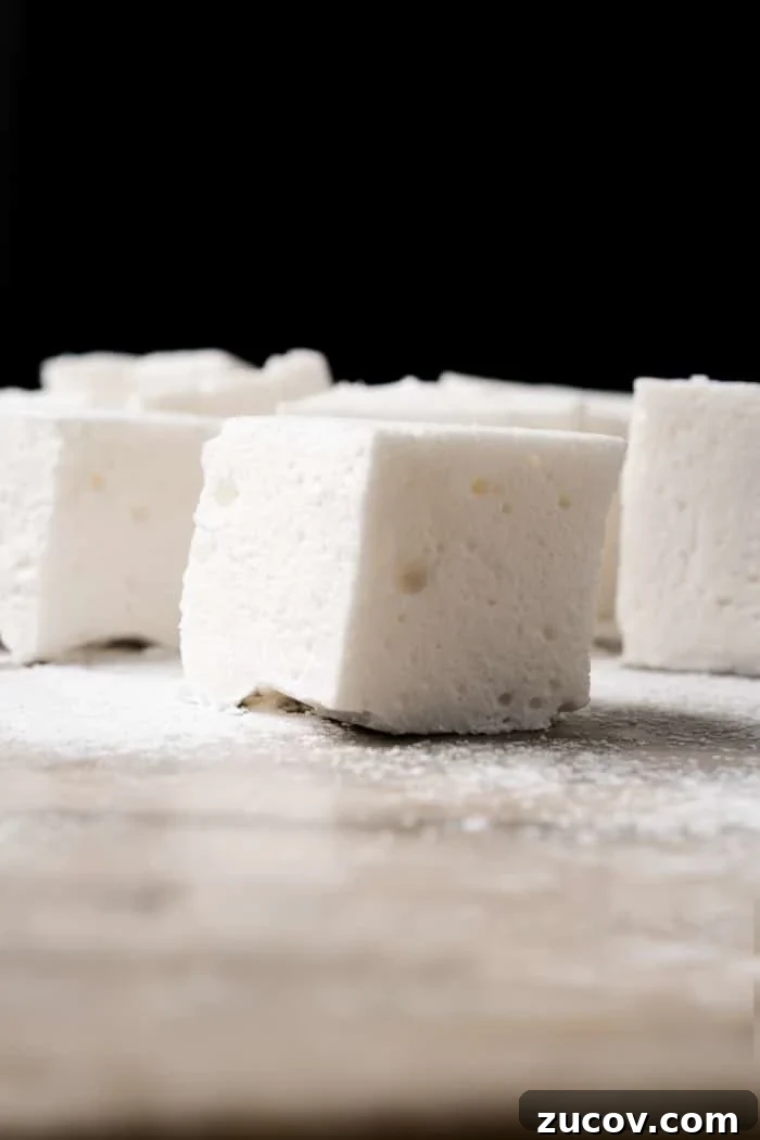 Gluten-Free Keto Wagon Wheels (Moon Pie-Style Cookies) 4 3-Ingredient Sugar Free, Paleo & Keto Marshmallows #keto #lowcarb #glutenfree #paleo #healthyrecipes #marshmallows #ketodessert #ketorecipes #ketodiet #smores