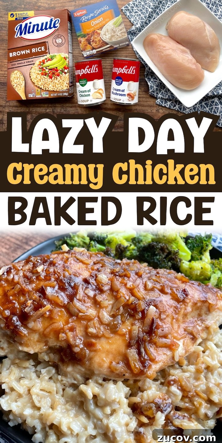 Creamy Chicken and Rice Casserole for a Relaxed Weeknight 19 Are you looking for easy chicken dinner ideas? You've got to try this lazy day creamy chicken and rice casserole! It's a family favorite dinner, especially for a large family with picky kids to feed. It's incredibly easy to make with just a few basic and cheap ingredients.