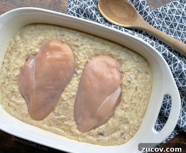 Creamy Chicken and Rice Casserole for a Relaxed Weeknight 6 Classic Forgotten Chicken Casserole Recipe