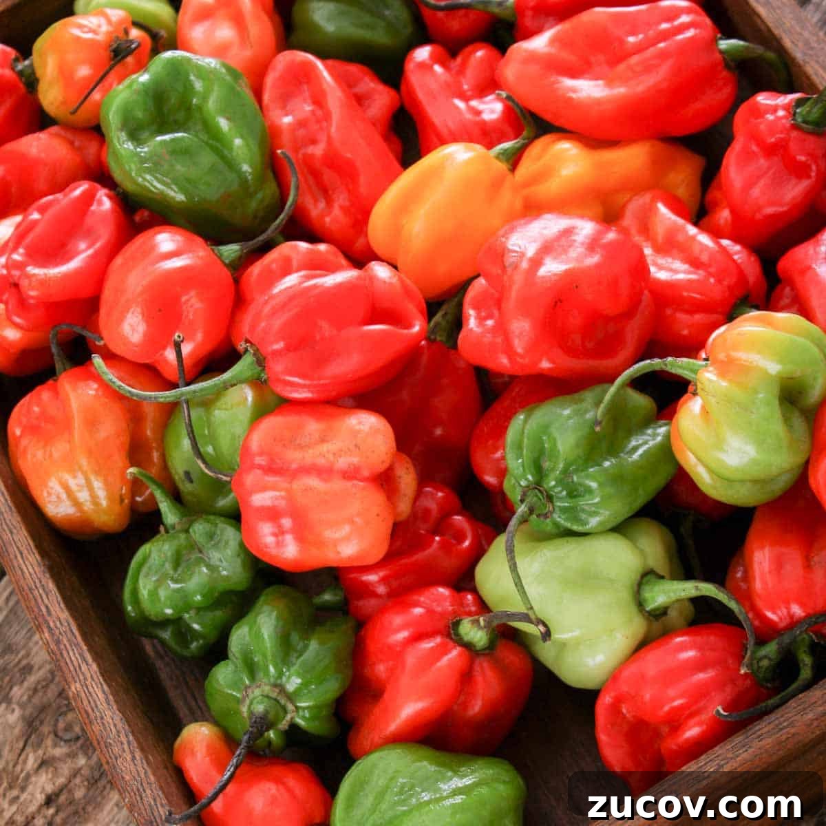 Freeze Habanero Peppers: Simple Steps to Preserve Heat and Flavor 4 Red, green, and orange scotch bonnet peppers sit in a wooden tray.