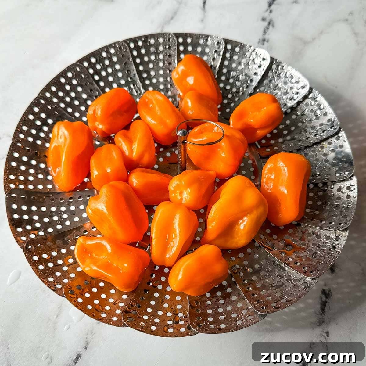 Freeze Habanero Peppers: Simple Steps to Preserve Heat and Flavor 6 Washed habanero peppers sit in a silver strainer on a white marble counter.