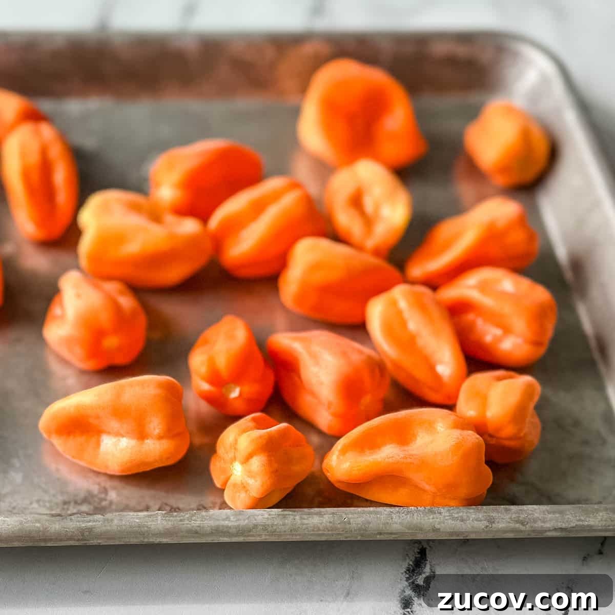 Freeze Habanero Peppers: Simple Steps to Preserve Heat and Flavor 7 Frozen habaneros sit on a gray sheet tray on a white marble counter.