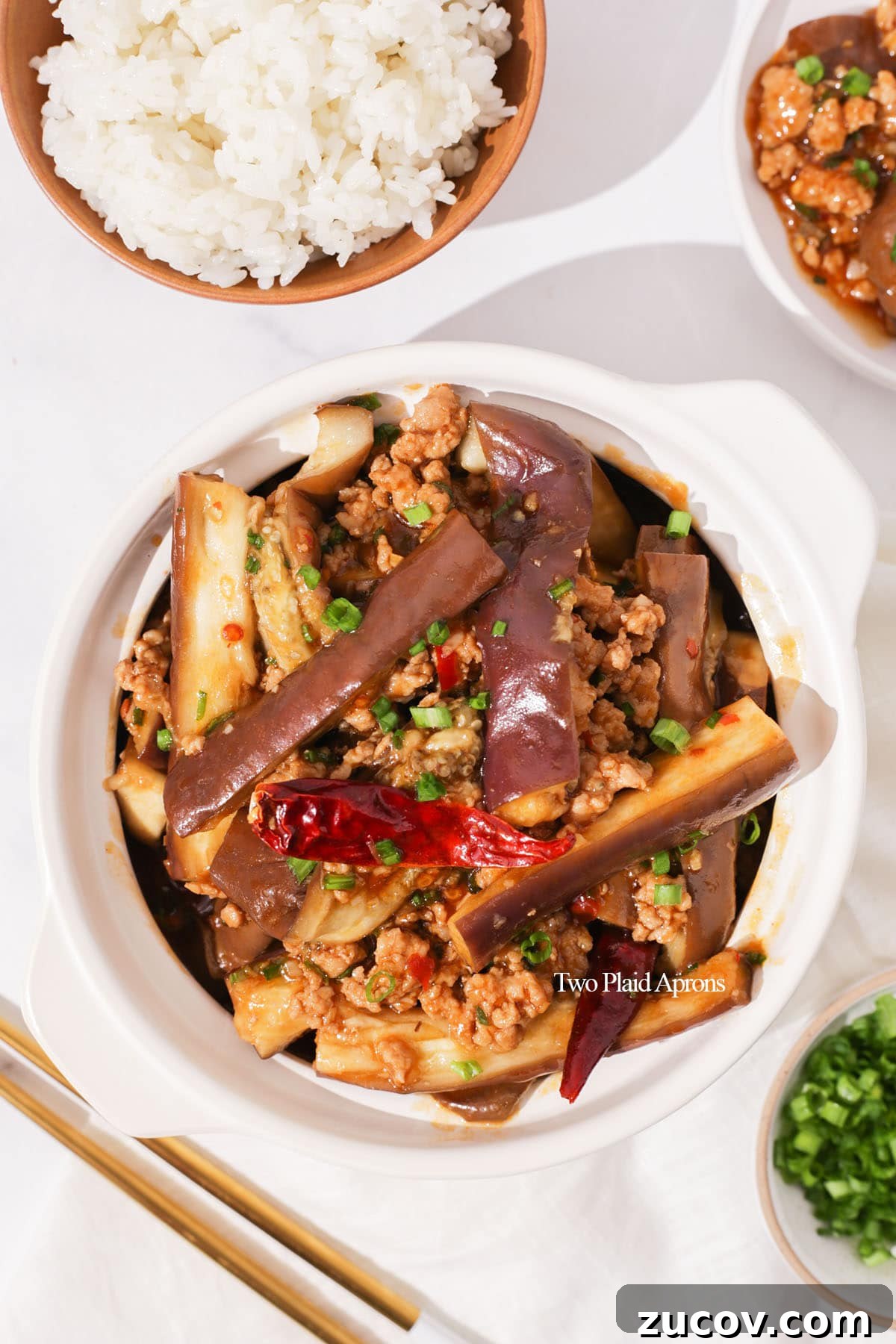 Sichuan-Style Eggplant in Garlic Sauce (Yuxiang Qiezi) 13 img 9065 12