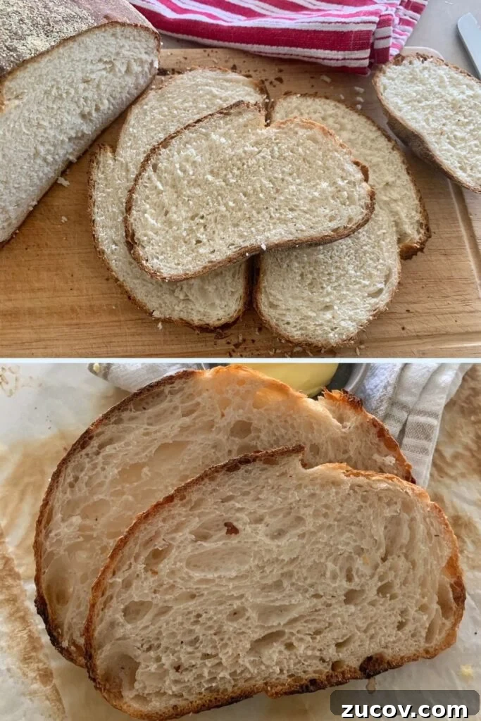 Pane di Casa vs Sourdough: Key Differences and Baking Tips 3 img 9200 2