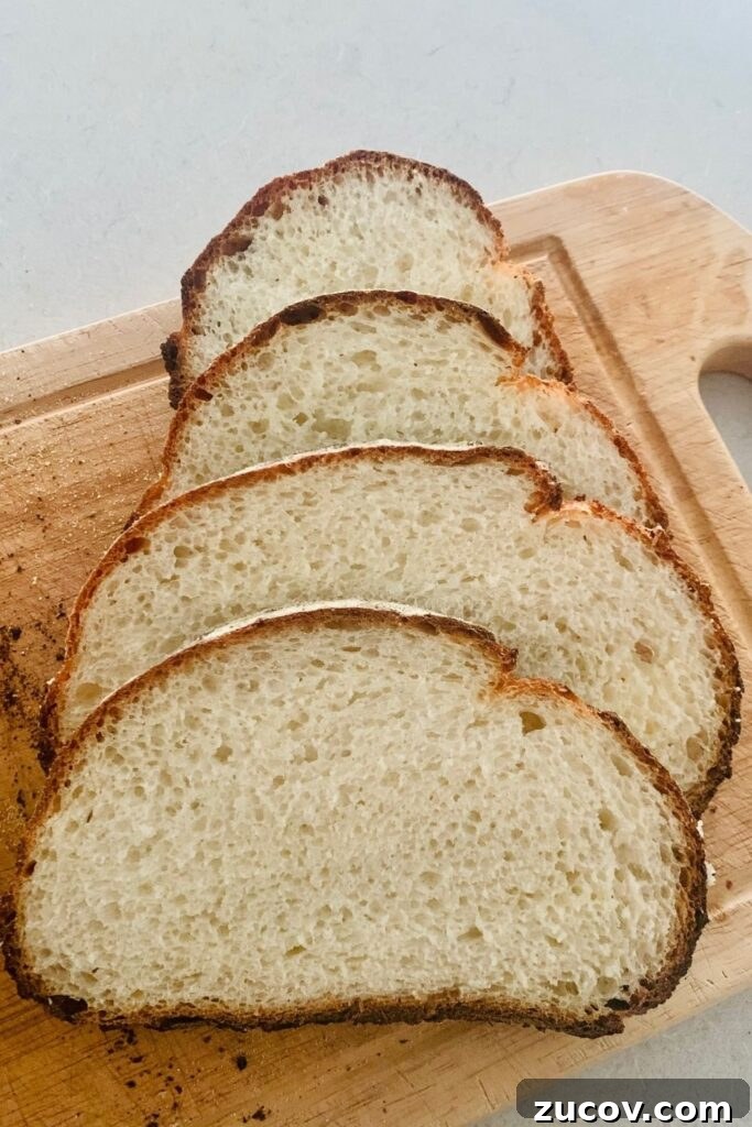 Pane di Casa vs Sourdough: Key Differences and Baking Tips 4 img 9200 3